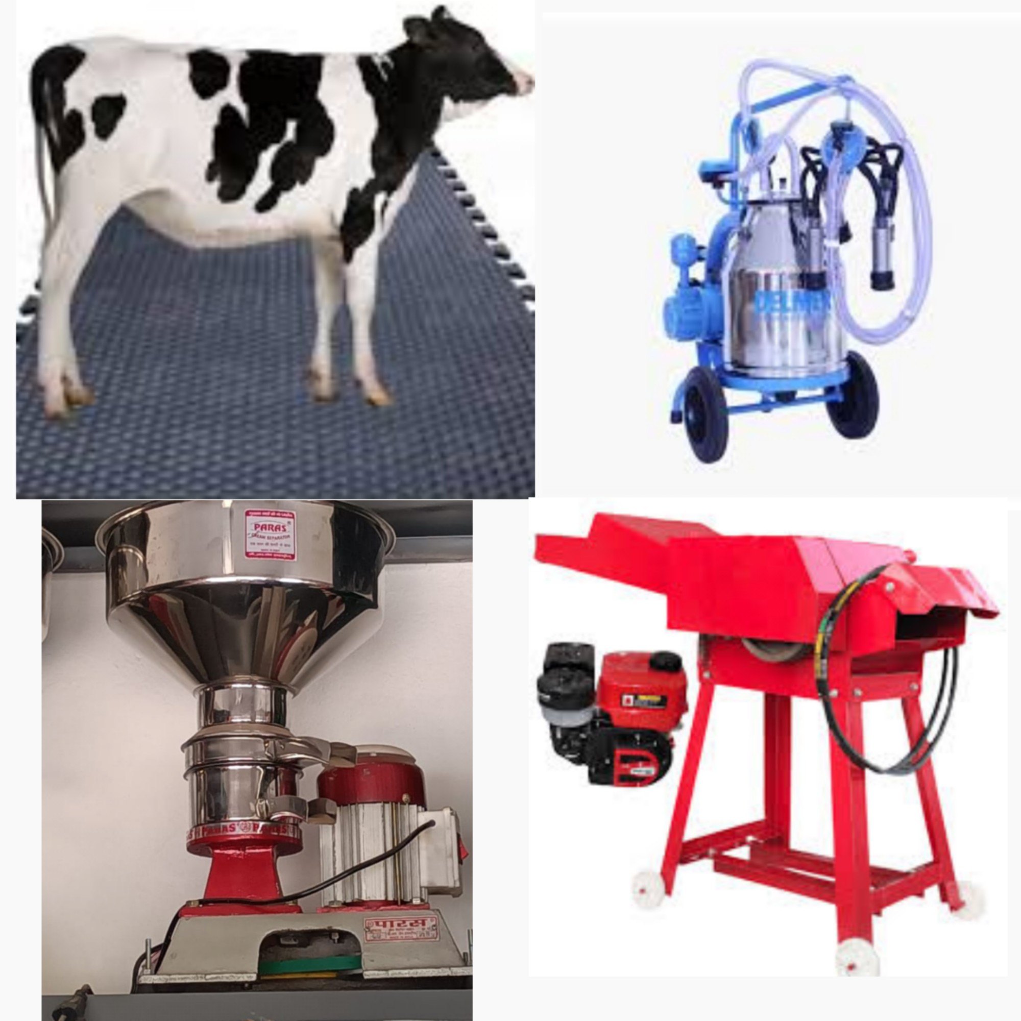 cow product